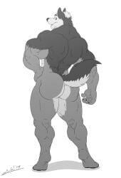  anthro ass biceps canid canine canis exhibitionism hi_res juano looking_back male mammal manly muscular muscular_anthro muscular_butt muscular_male nude open_mouth pose presenting presenting_hindquarters raised_tail solo tail thick_thighs wolf 